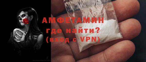 ГАЛЛЮЦИНОГЕННЫЕ ГРИБЫ Семёнов