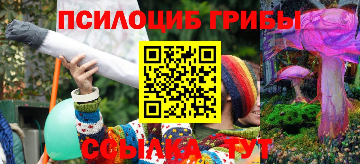 Галлюциногенные грибы MAGIC MUSHROOMS  Воскресенск  Галлюциногенные грибы Cubensis 