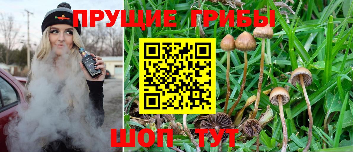 Галлюциногенные грибы ЛСД  Вход с VPN  Воскресенск  Псилоцибиновые грибы мицелий 