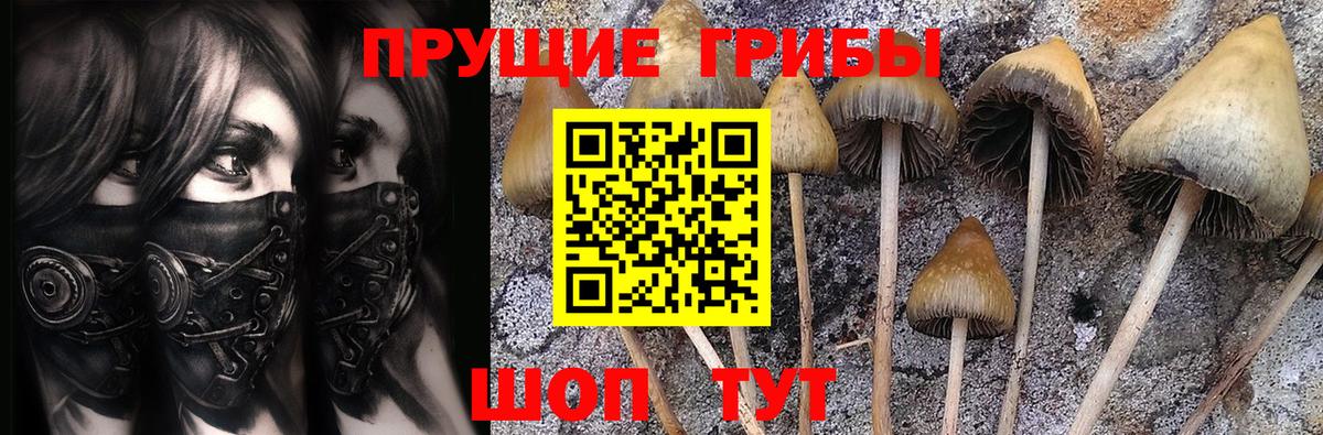 Псилоцибиновые грибы прущие грибы Воскресенск